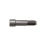 Screw