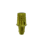 ICA Abutment GH1