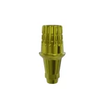 ICA Abutment GH2